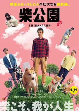 午夜免费视频网站