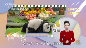 欧美69视频